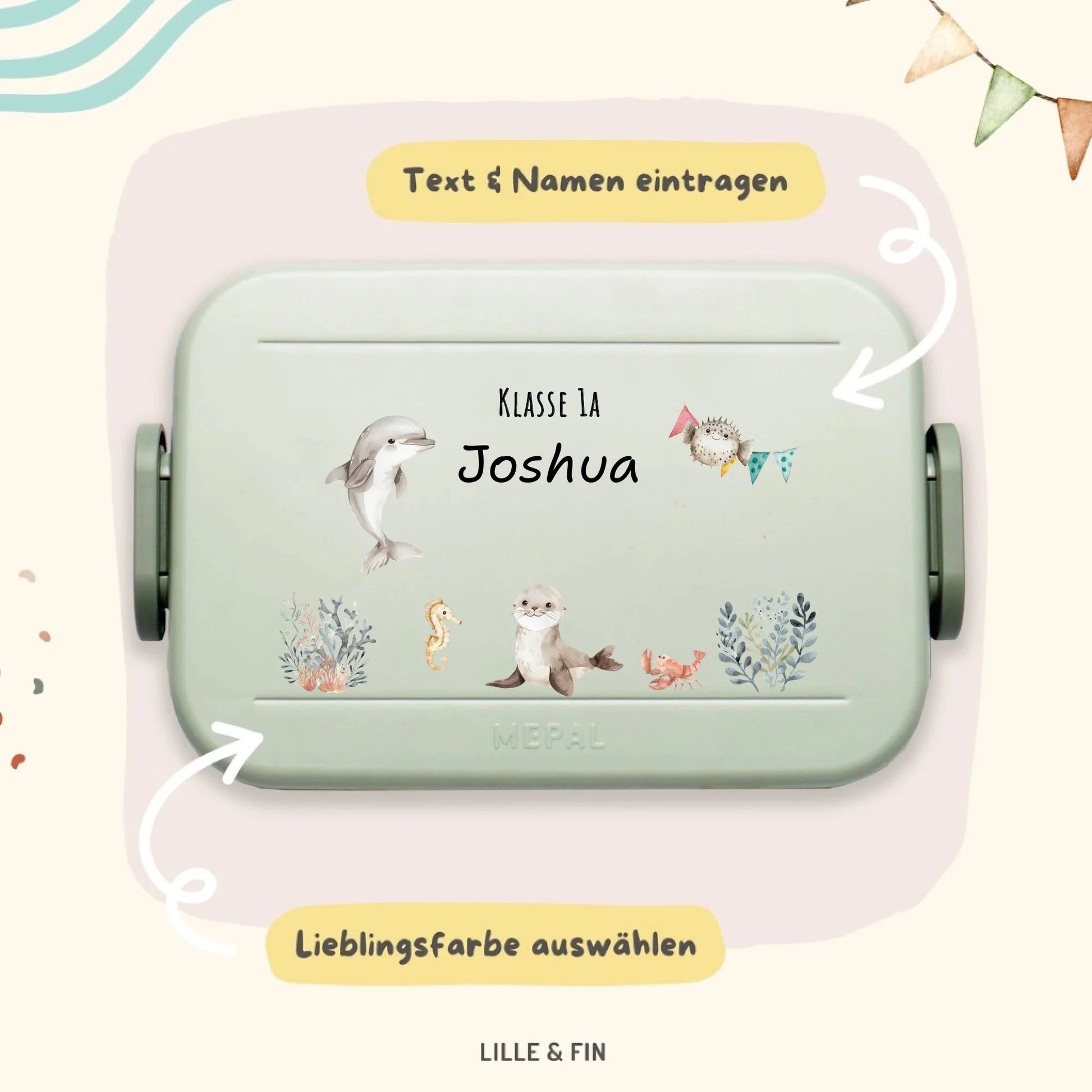 Mepal Bento sage Explainer