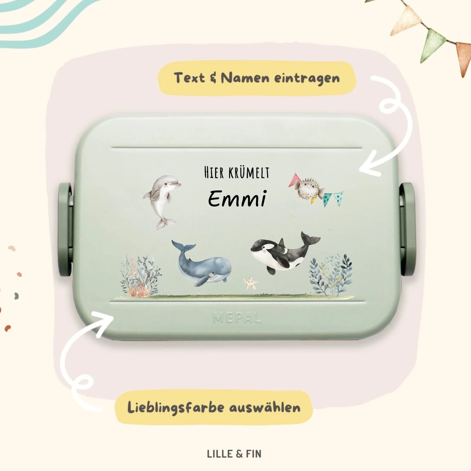 Mepal Bento sage Explainer