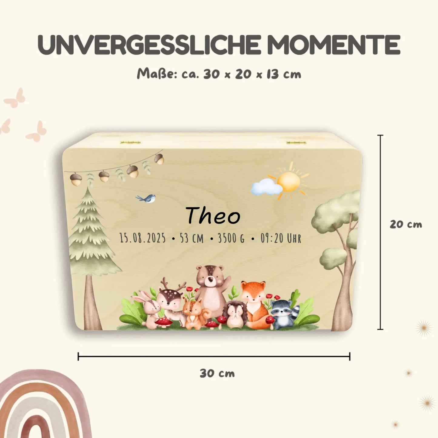 Holzkiste Maße Safari