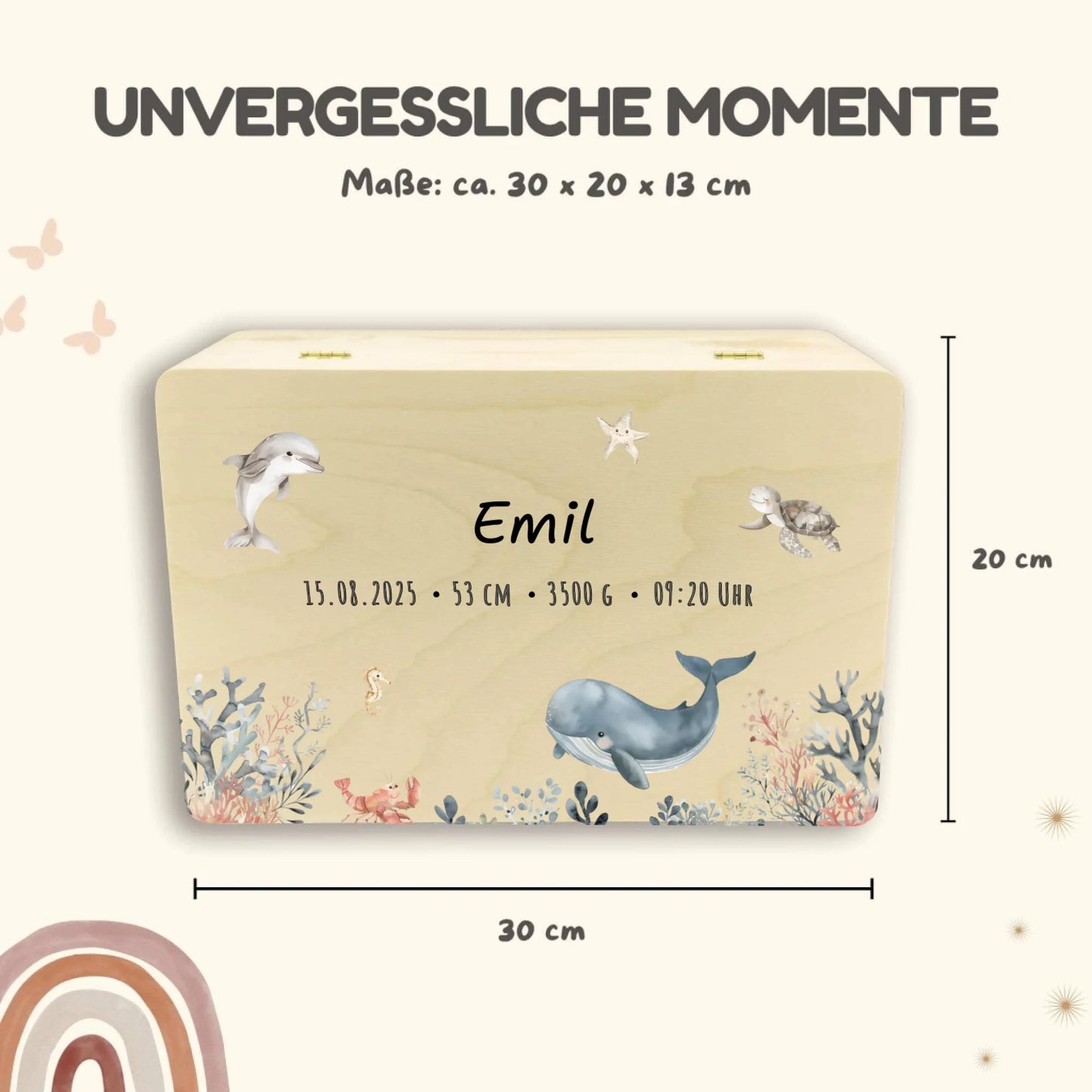 Holzkiste Maße Safari